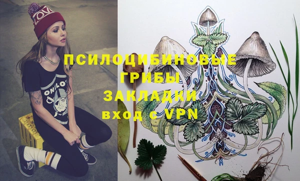 героин Алексин