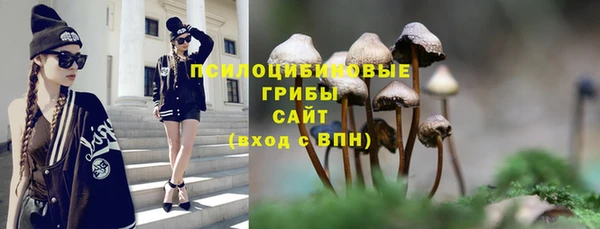 прущие крисы Алзамай