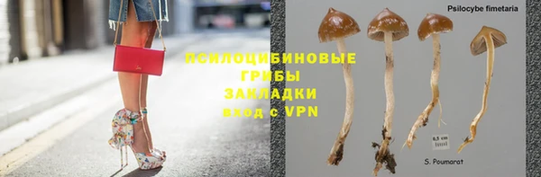 прущие крисы Алзамай